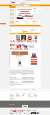 跨境电商系统,沈阳阿马逊代购网站建设