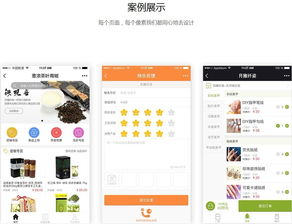 企业网站搭建网站制作小程序开发来绿茶,做网站做程序做后台开发公司