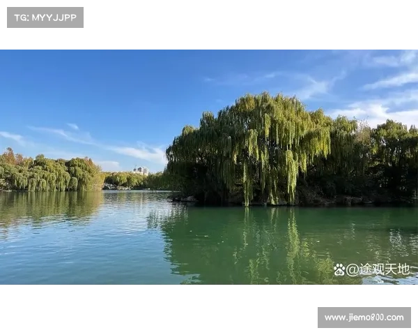 冬季湖畔景色的独特魅力与欣赏方式探索 冬季湖畔景色的独特魅力与欣赏方式探索