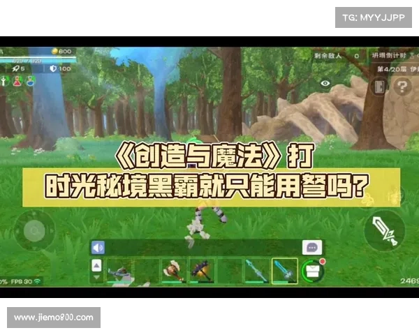 幻影纹章魔法秘境探索全攻略：深入洞察谜题解锁与资源获取技巧